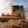 Wheat Rallying Early on Thursday Amid More Black Sea Strikes