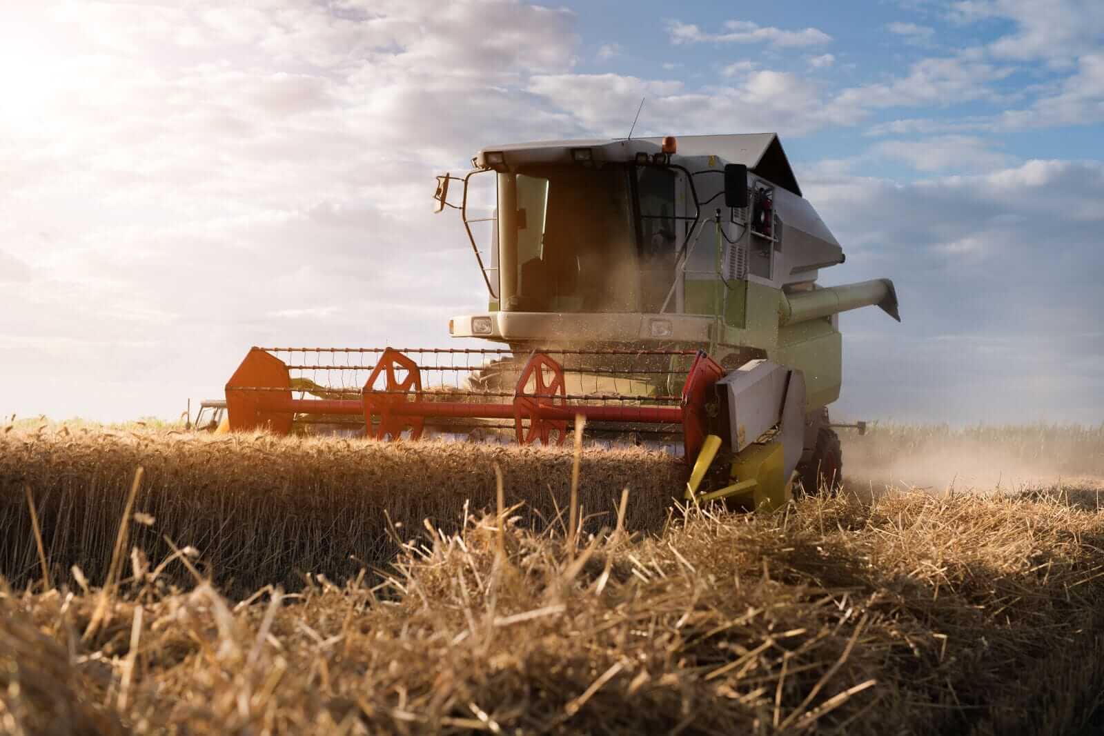 Wheat Rallying Early on Thursday Amid More Black Sea Strikes